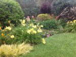 Rosies garden(copy)